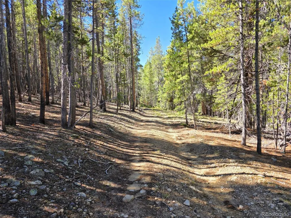 840 Forest Service Road 890 White Pine, CO 81248