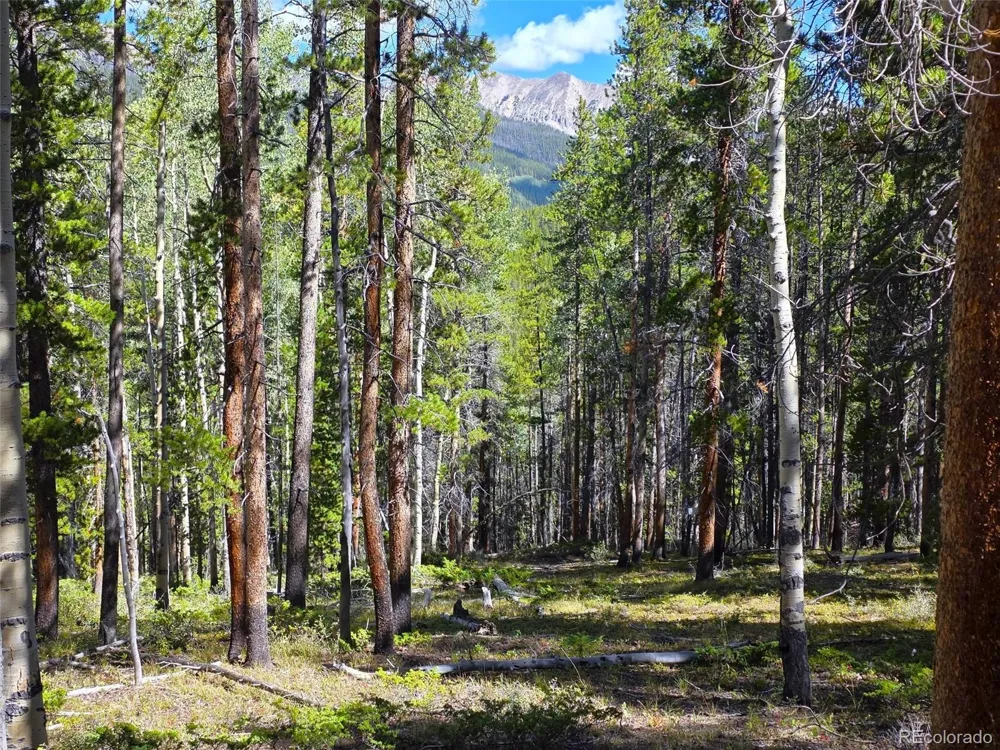 840 Forest Service Road 890 White Pine, CO 81248