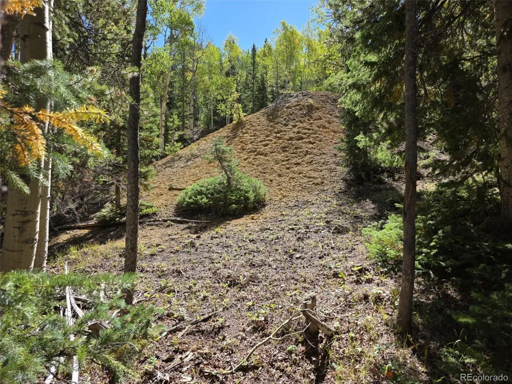 840 Forest Service Road 890 White Pine, CO 81248