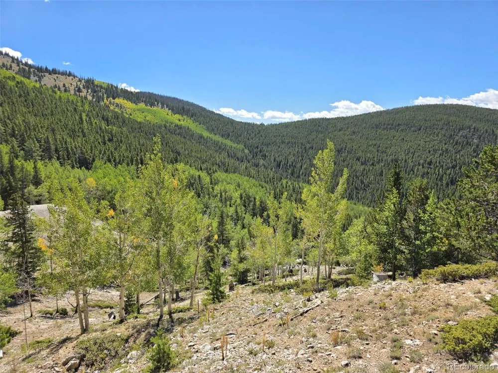 840 Forest Service Road 890 White Pine, CO 81248