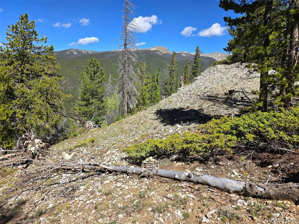 840 Forest Service Road 890 White Pine, CO 81248
