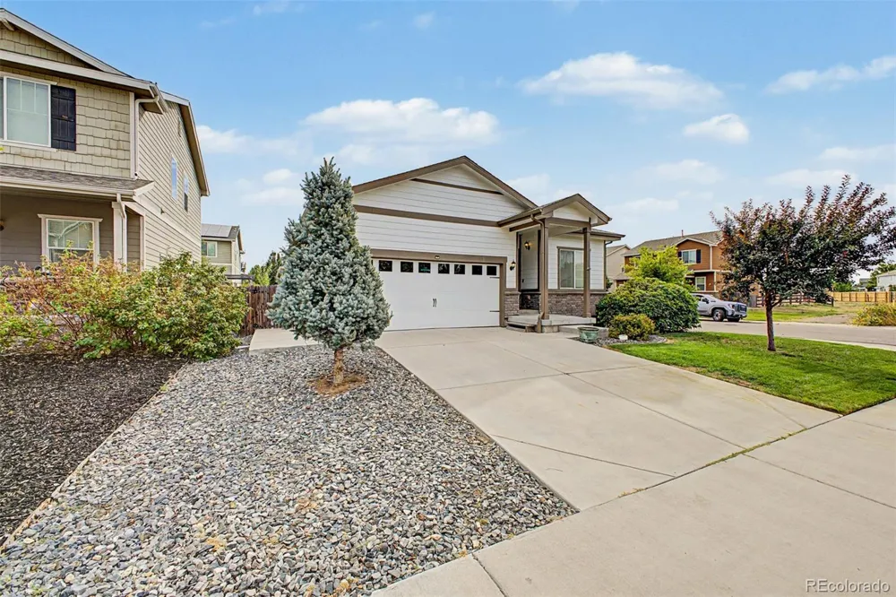 9526 Dexter Lane Thornton, CO 80229