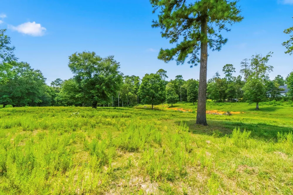 1239 Tony Peebles Road Livingston, TX 77351