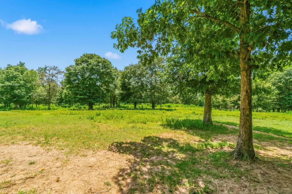 1239 Tony Peebles Road Livingston, TX 77351