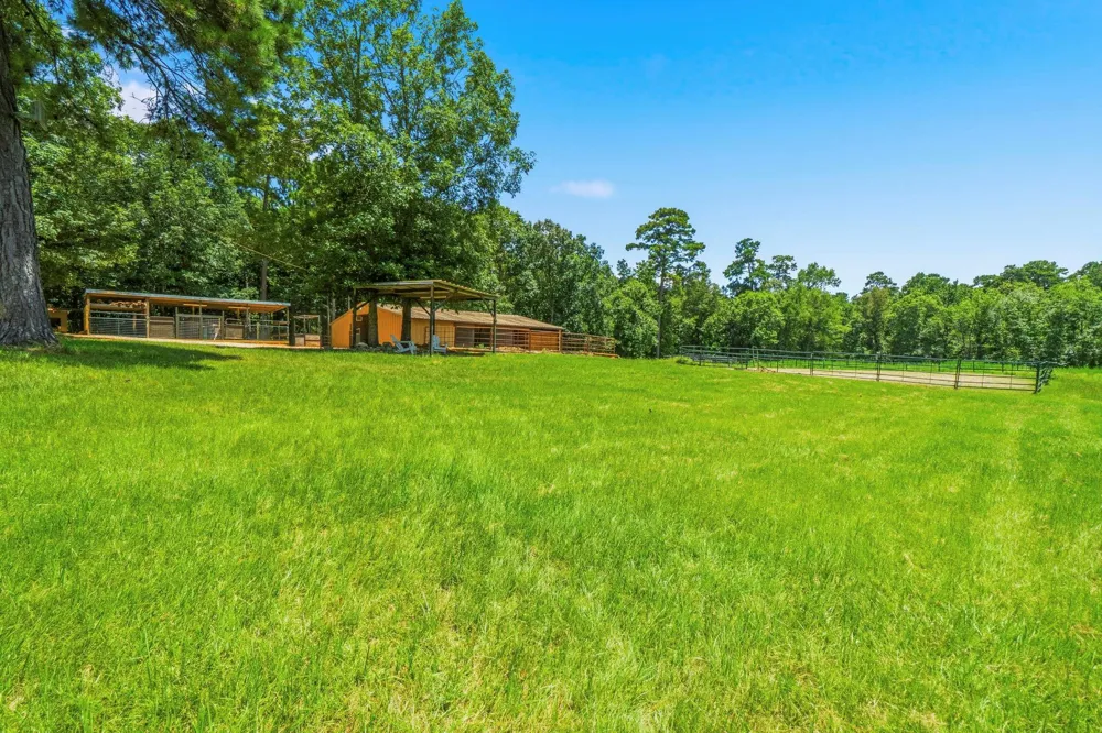 1239 Tony Peebles Road Livingston, TX 77351