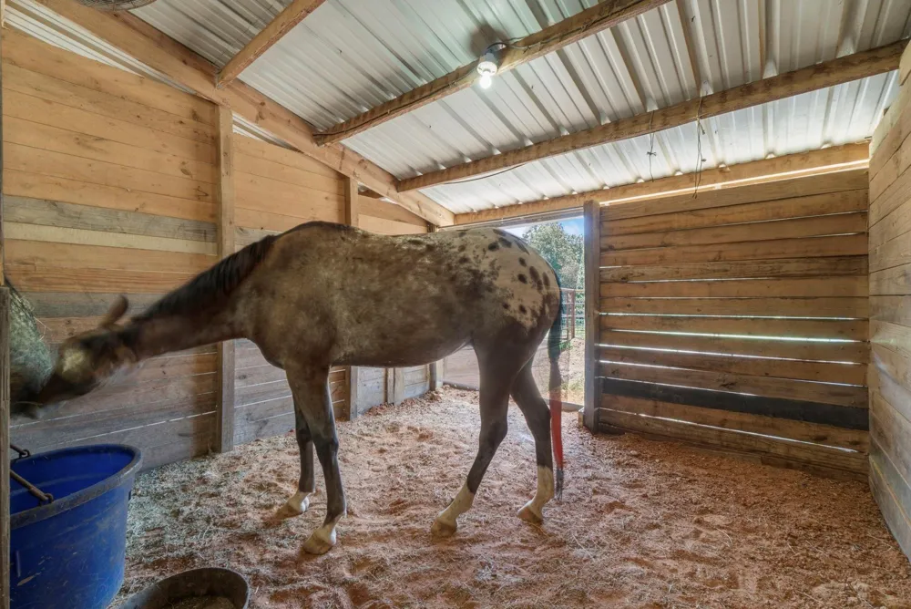 1239 Tony Peebles Road Livingston, TX 77351