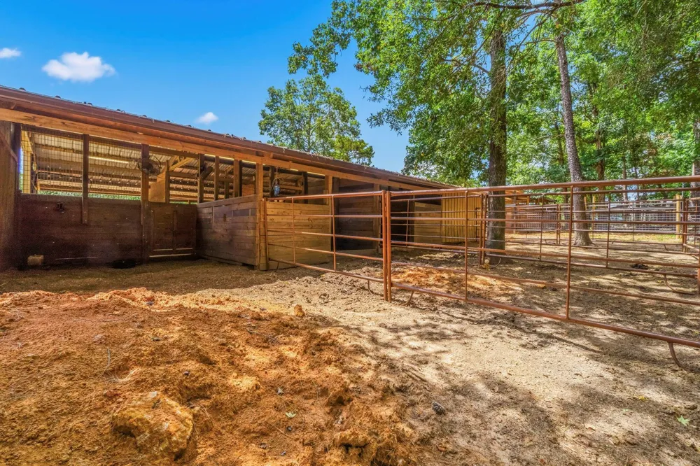 1239 Tony Peebles Road Livingston, TX 77351