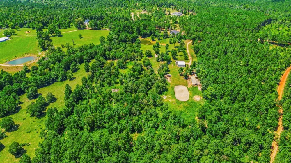 1239 Tony Peebles Road Livingston, TX 77351