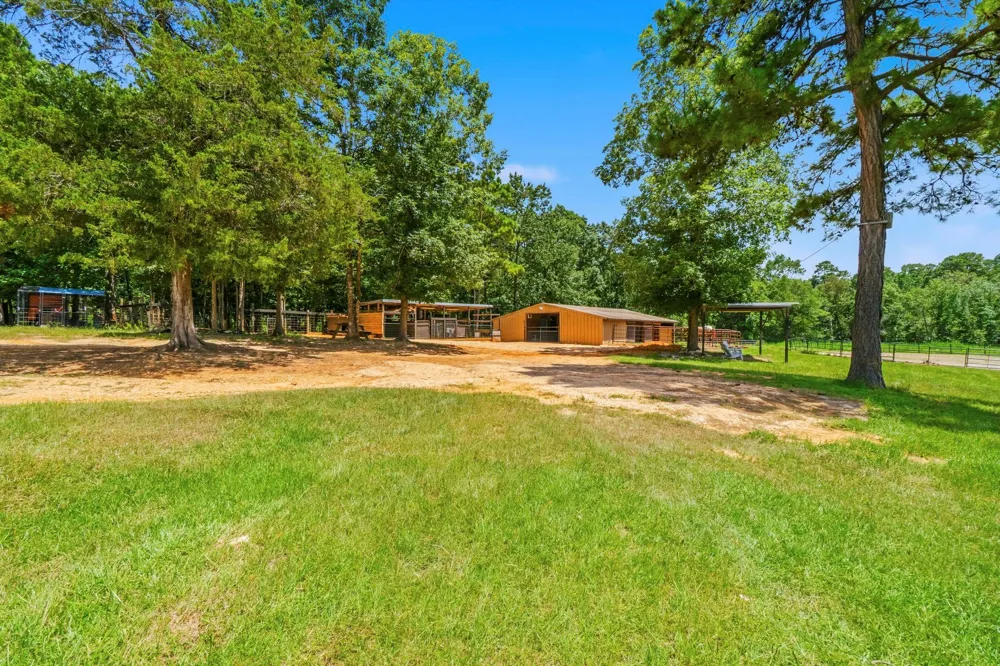 1239 Tony Peebles Road Livingston, TX 77351