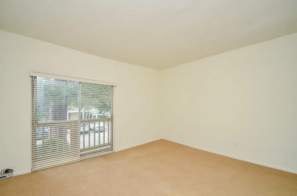 2100 Tanglewilde Street #169 Houston, TX 77063