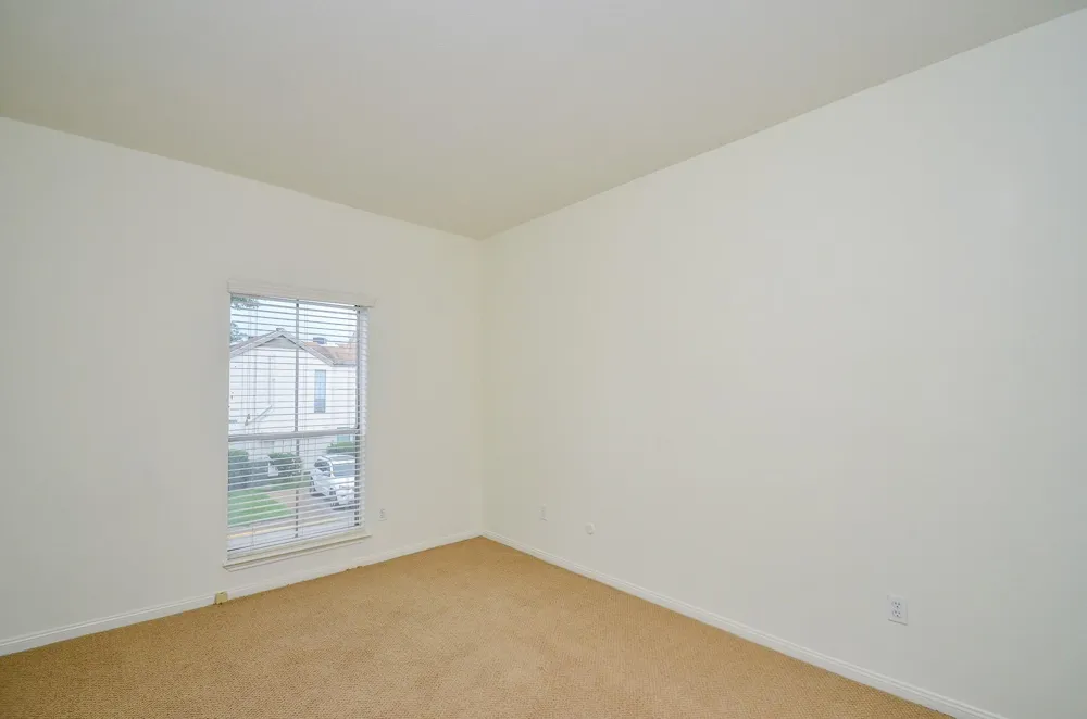 2100 Tanglewilde Street #169 Houston, TX 77063