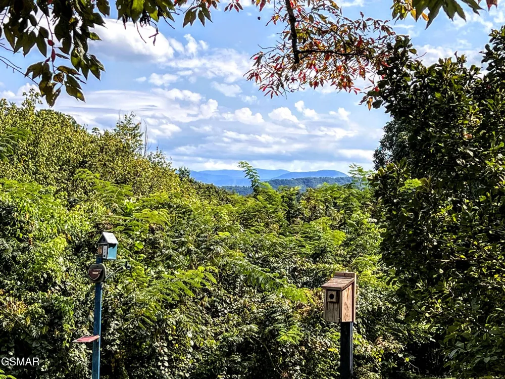 2531 Highland Park Drive Pigeon Forge, TN 37863