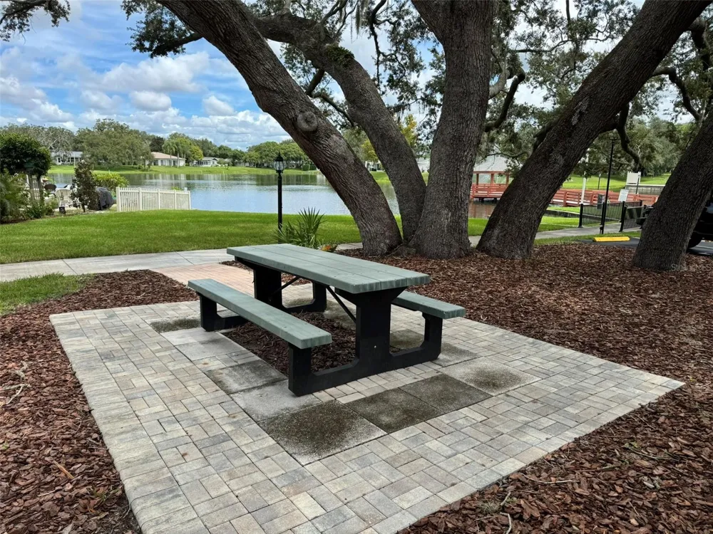 8215 SAN FELIPE COURT Port Richey, FL 34668