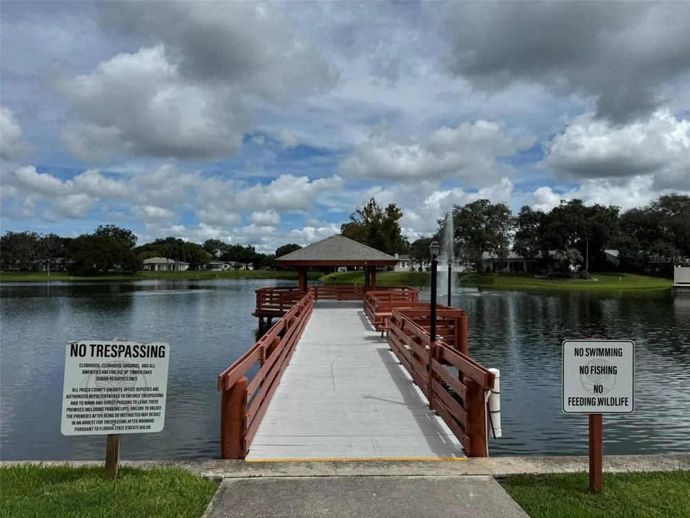8215 SAN FELIPE COURT Port Richey, FL 34668