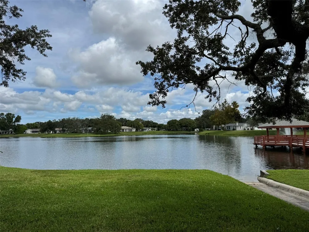 8215 SAN FELIPE COURT Port Richey, FL 34668