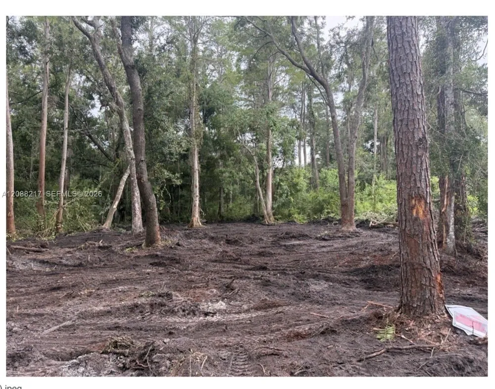 3 Anno Street Other City - In The State Of Florida, FL 33625