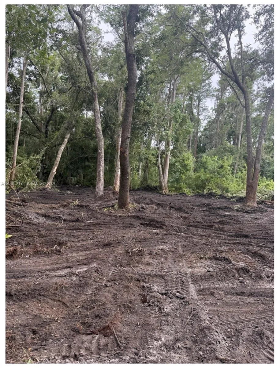 3 Anno Street Other City - In The State Of Florida, FL 33625