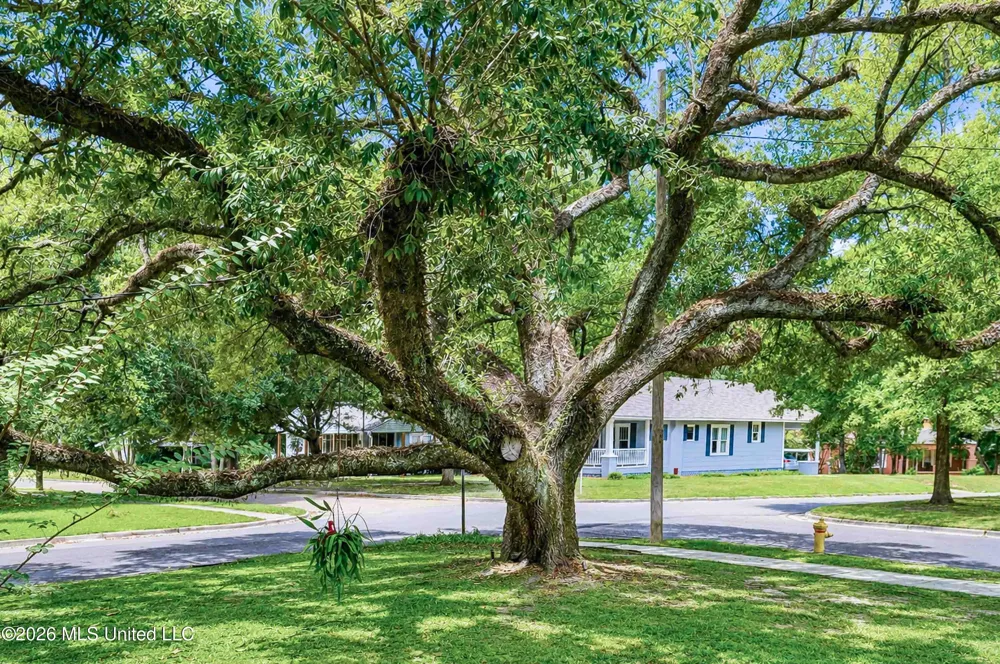 714 Camp Street Hattiesburg, MS 39401