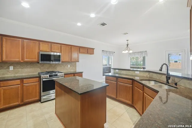 10807 CACTUS CROSSING DR San Antonio, TX 78245