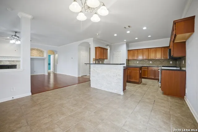 10807 CACTUS CROSSING DR San Antonio, TX 78245