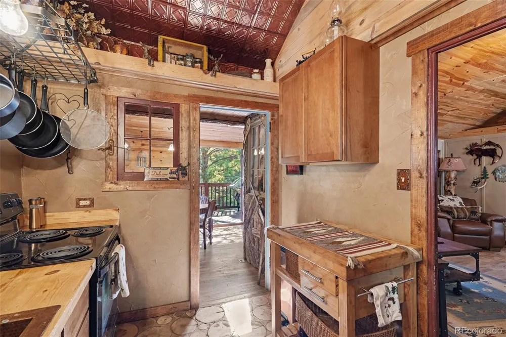 15751 S Elk Creek Road Pine, CO 80470
