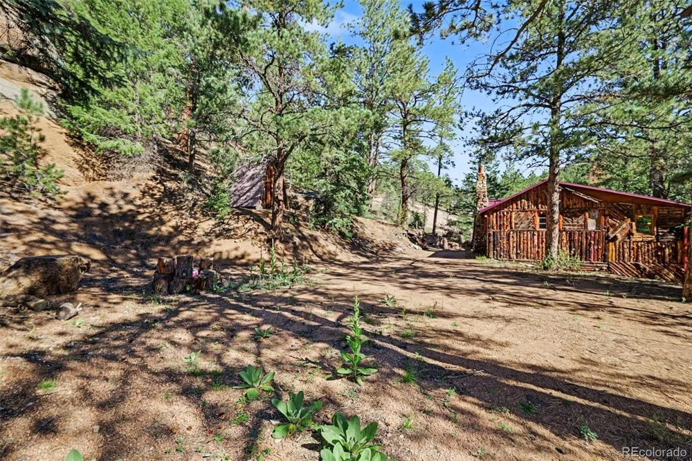 15751 S Elk Creek Road Pine, CO 80470