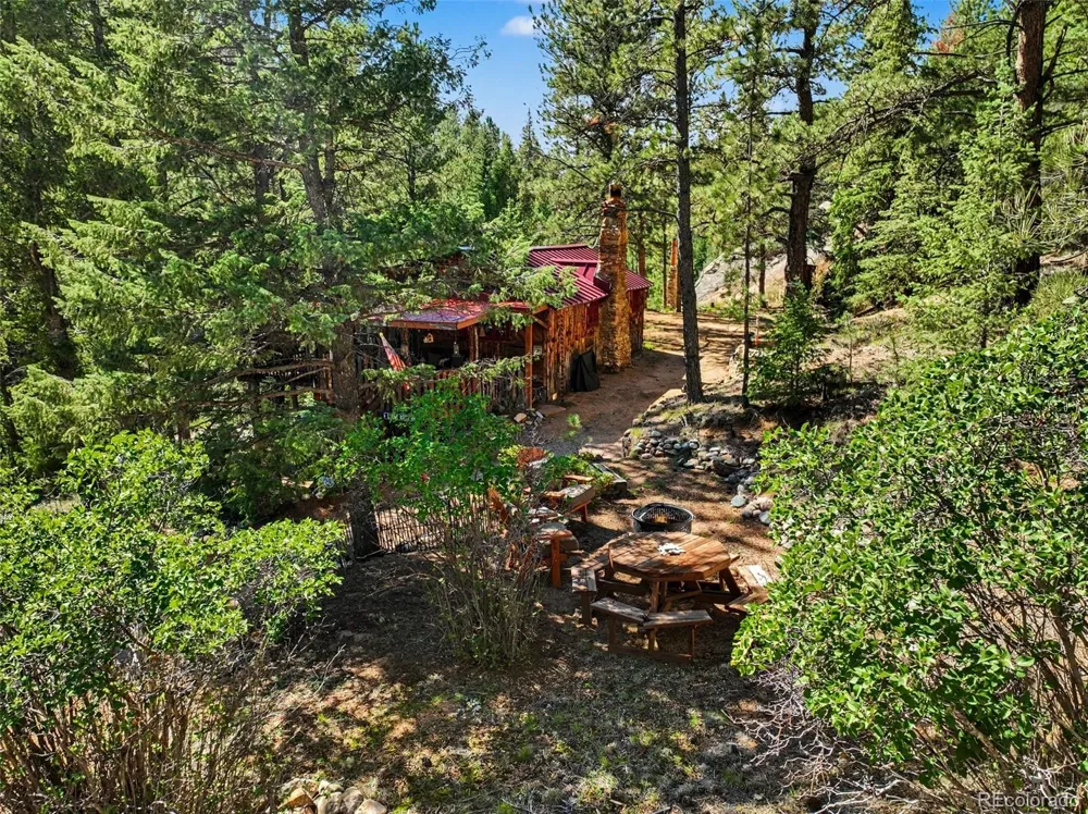 15751 S Elk Creek Road Pine, CO 80470