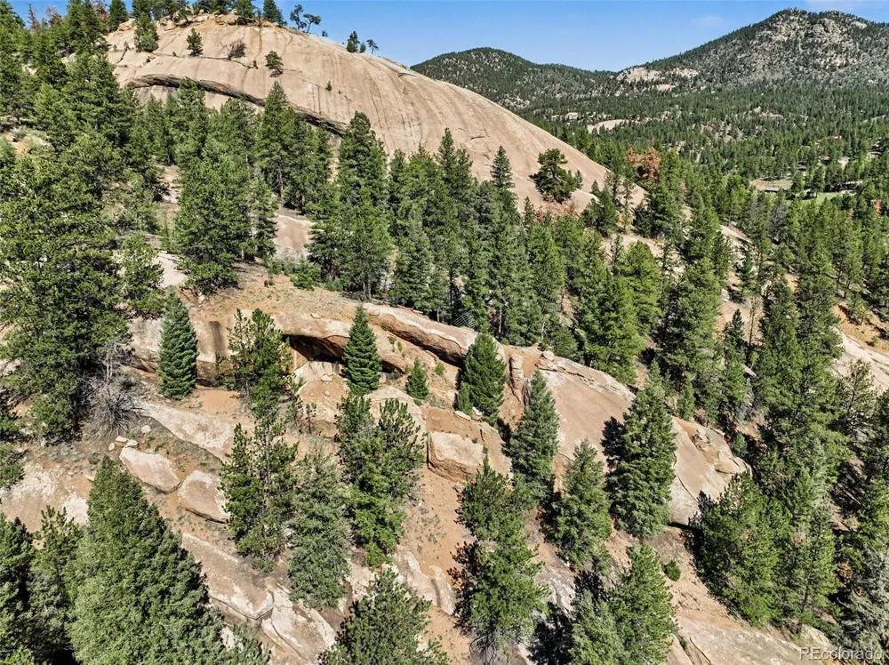 15751 S Elk Creek Road Pine, CO 80470