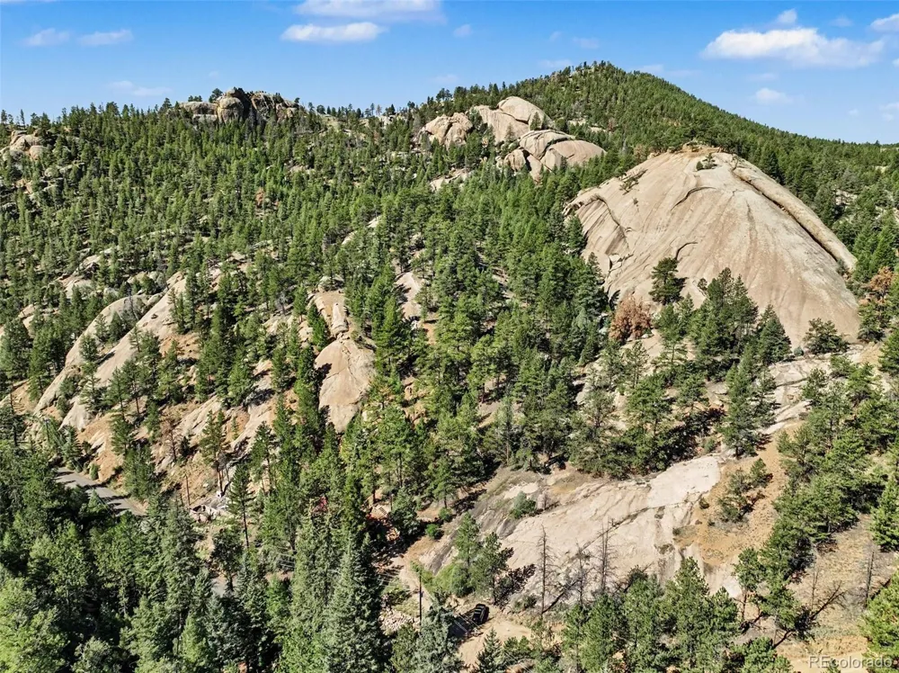15751 S Elk Creek Road Pine, CO 80470