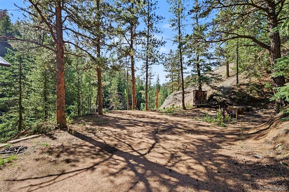 15751 S Elk Creek Road Pine, CO 80470