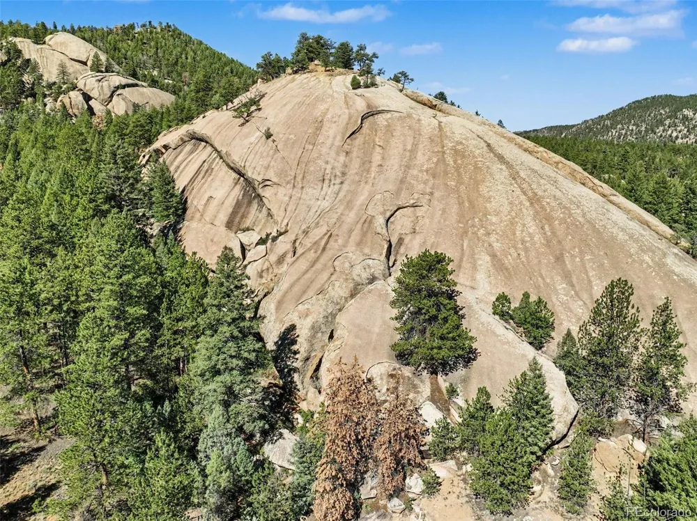 15751 S Elk Creek Road Pine, CO 80470