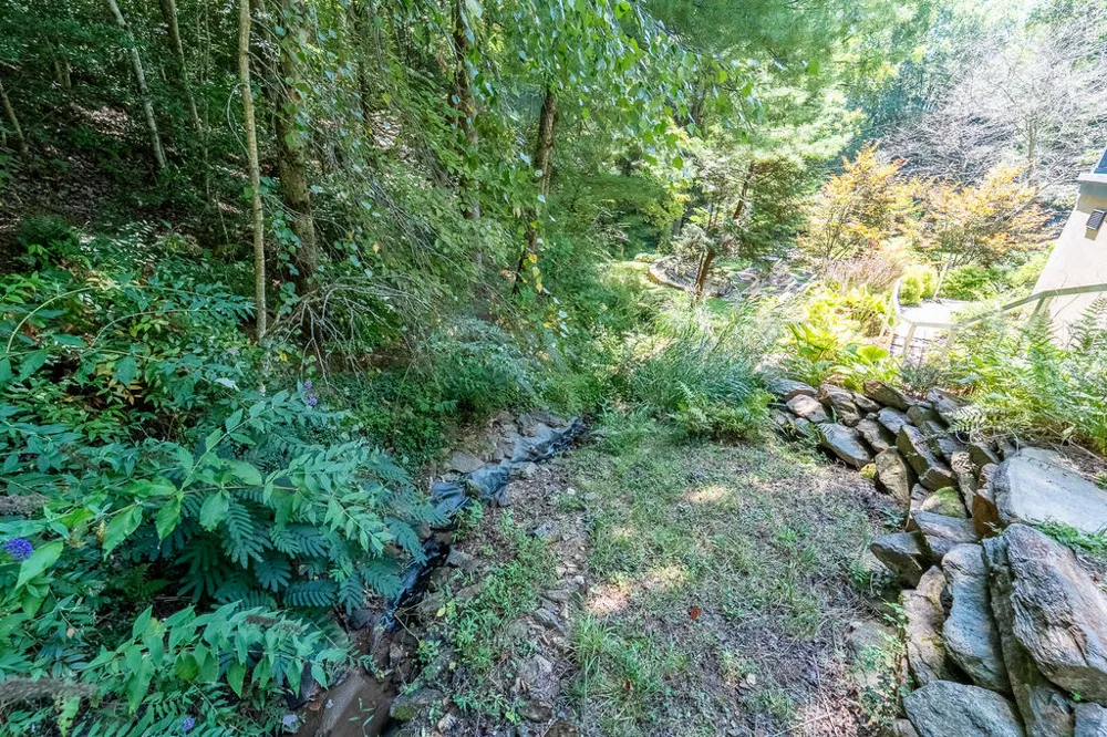 Iris Lane Whittier, NC 28789