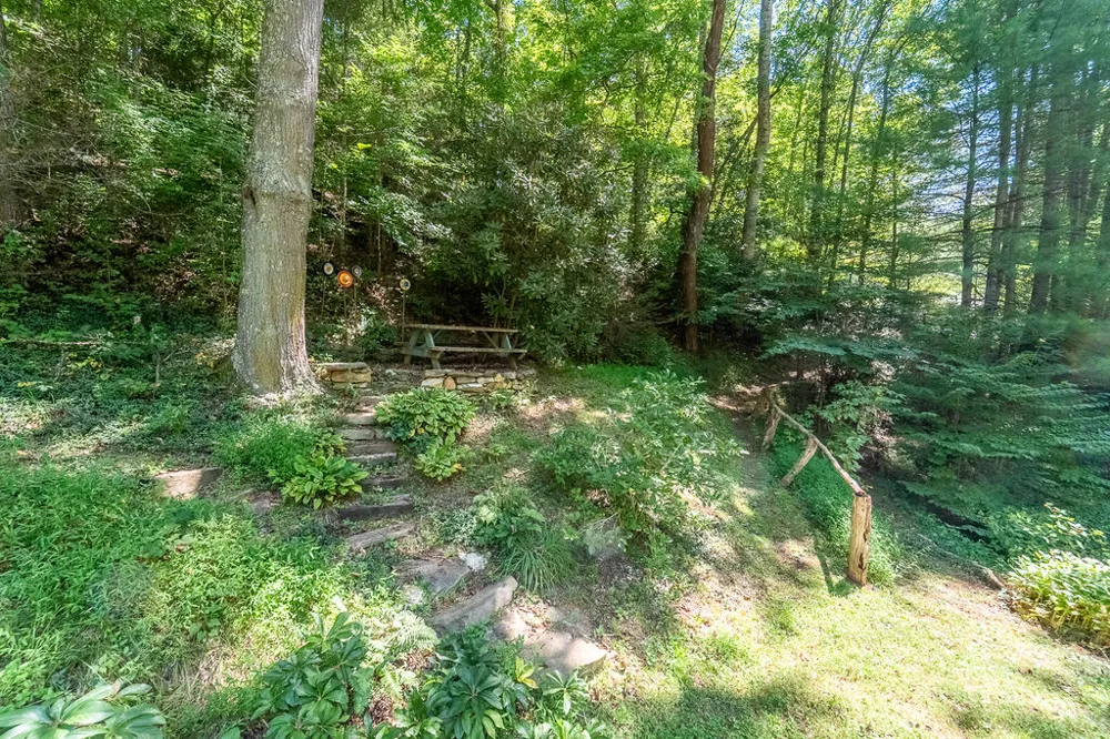 Iris Lane Whittier, NC 28789