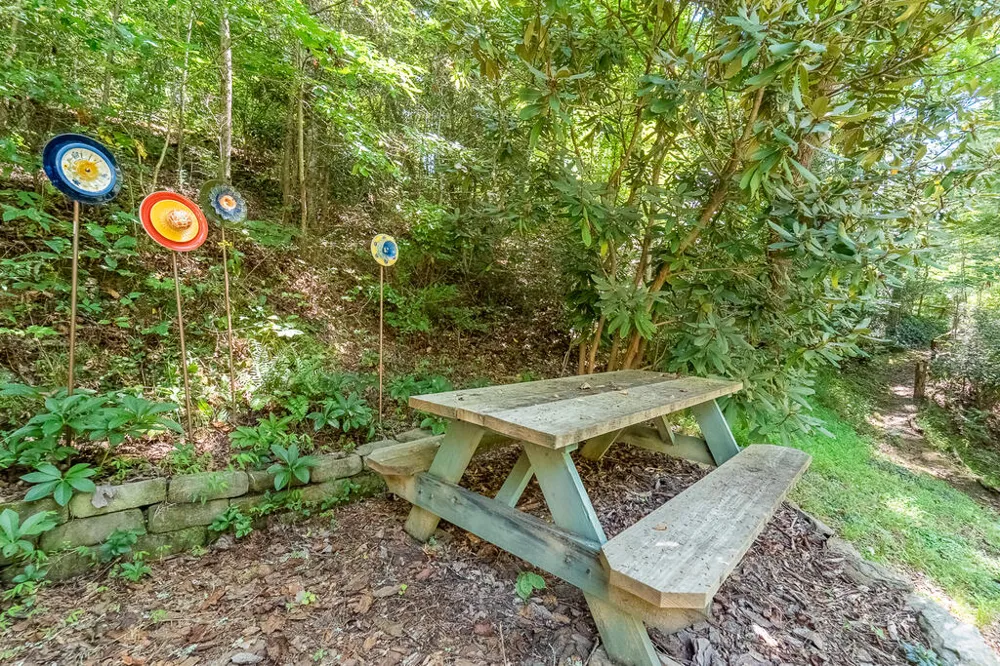 Iris Lane Whittier, NC 28789