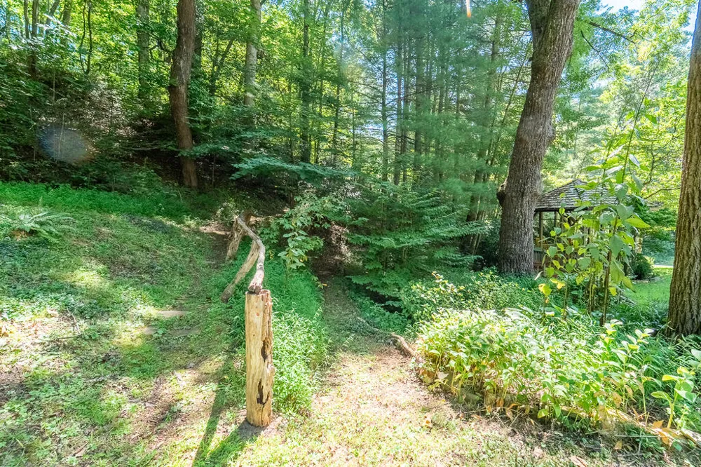Iris Lane Whittier, NC 28789