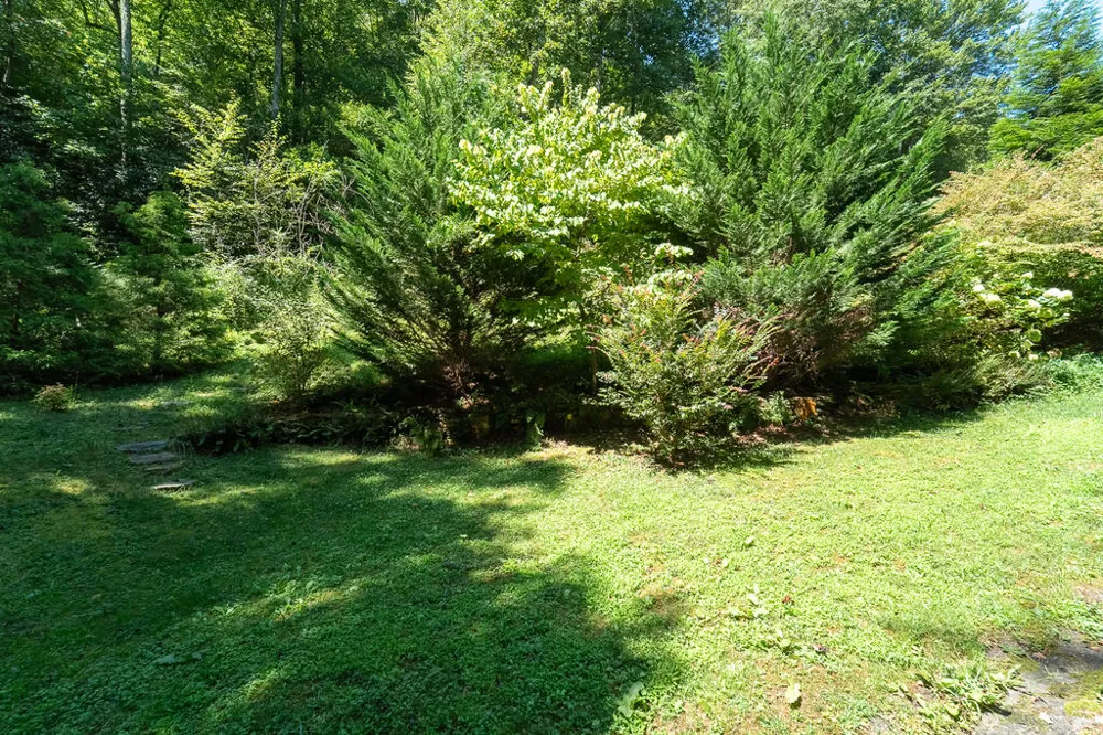 Iris Lane Whittier, NC 28789