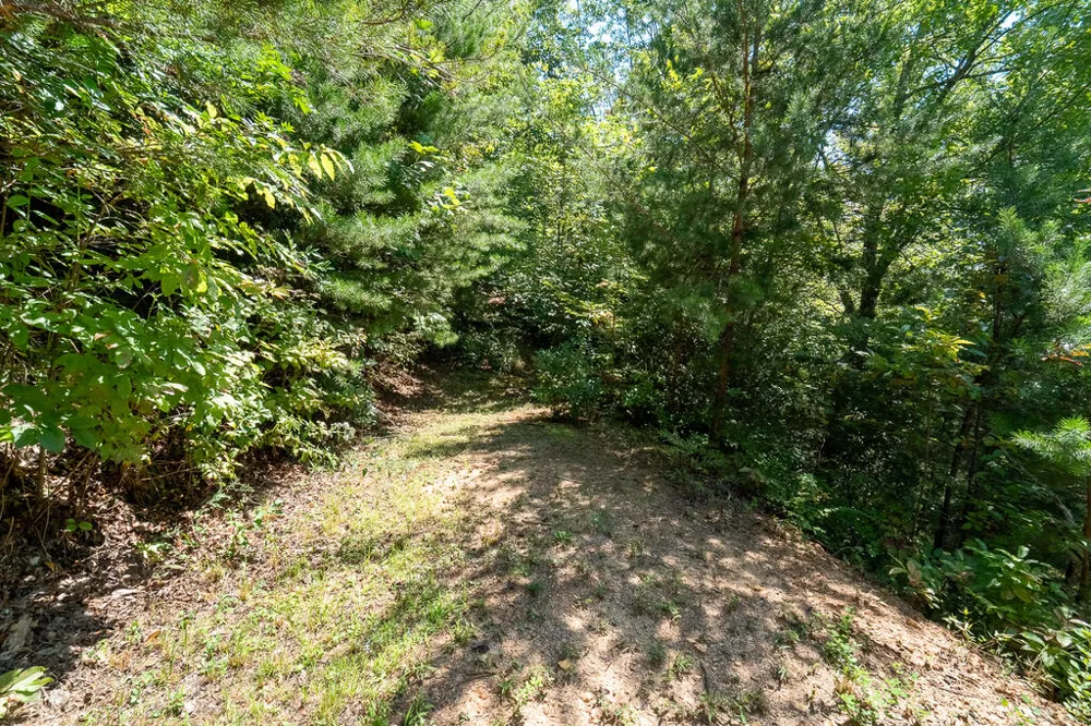 Iris Lane Whittier, NC 28789