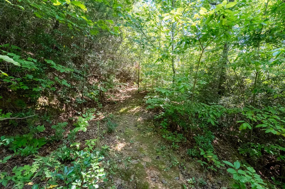 Iris Lane Whittier, NC 28789