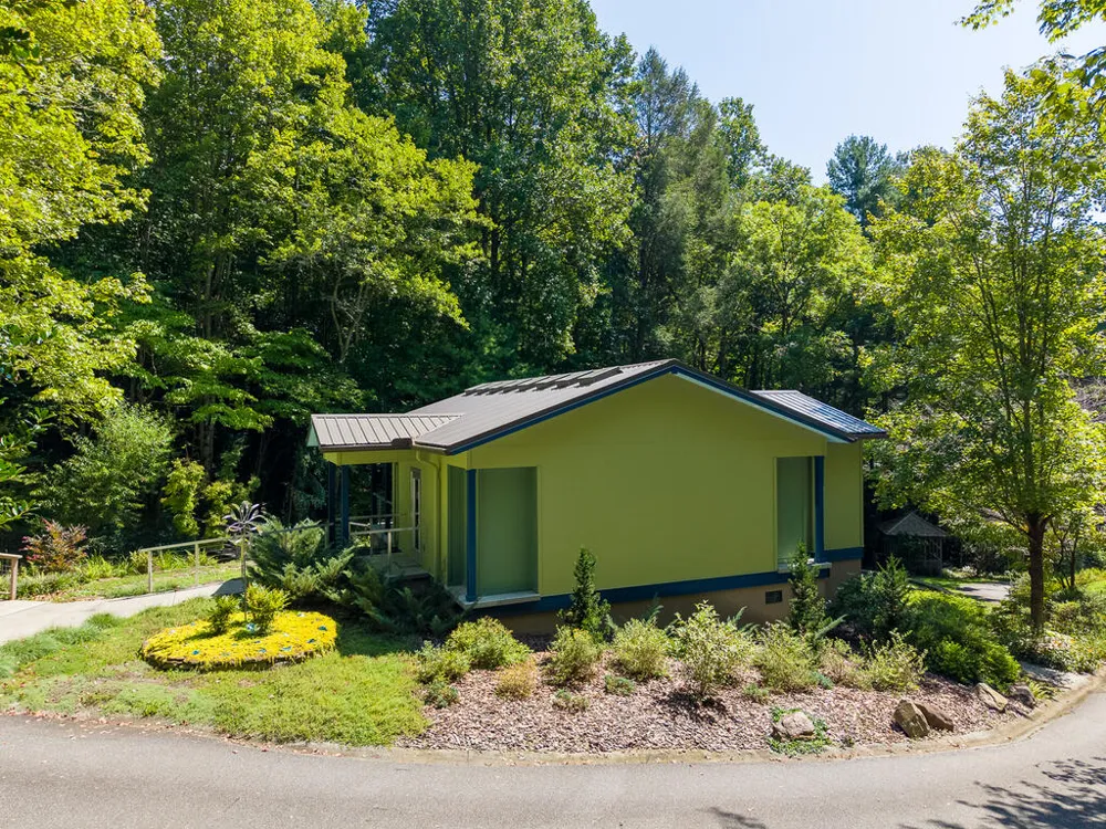 Iris Lane Whittier, NC 28789
