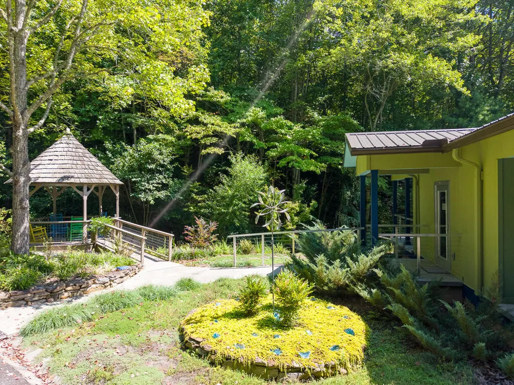 Iris Lane Whittier, NC 28789