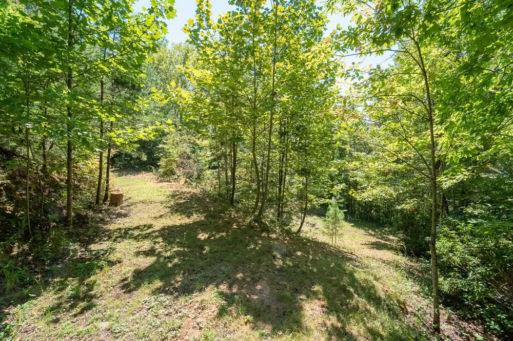Iris Lane Whittier, NC 28789
