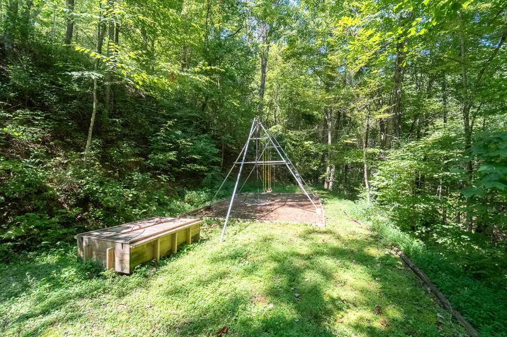Iris Lane Whittier, NC 28789