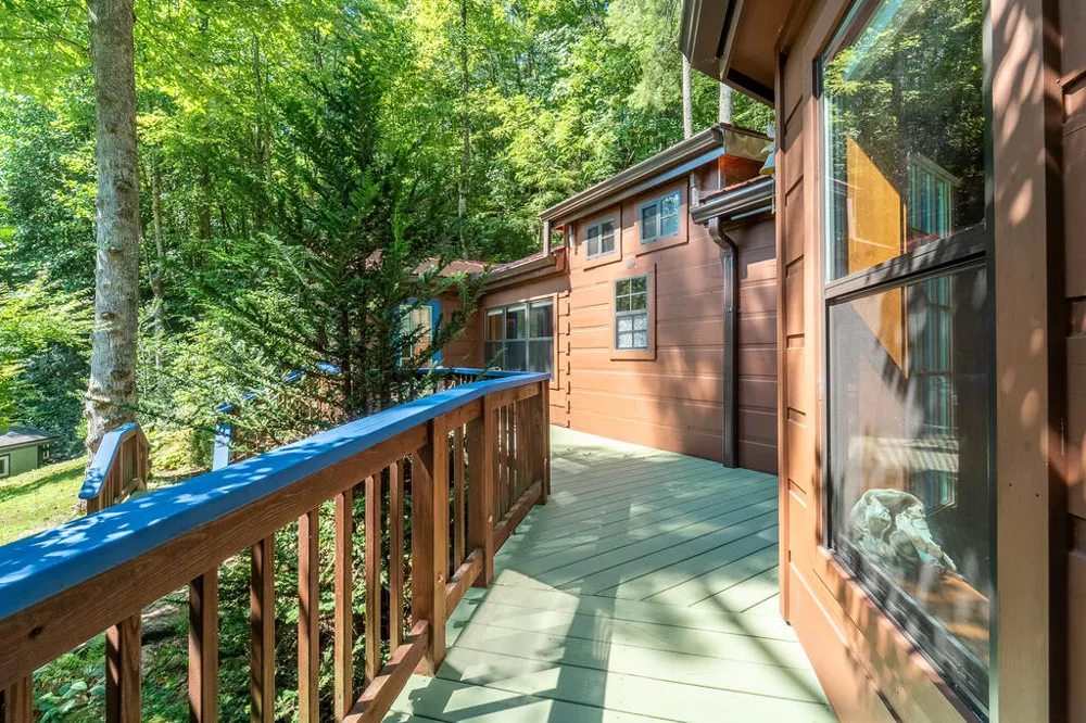 Iris Lane Whittier, NC 28789