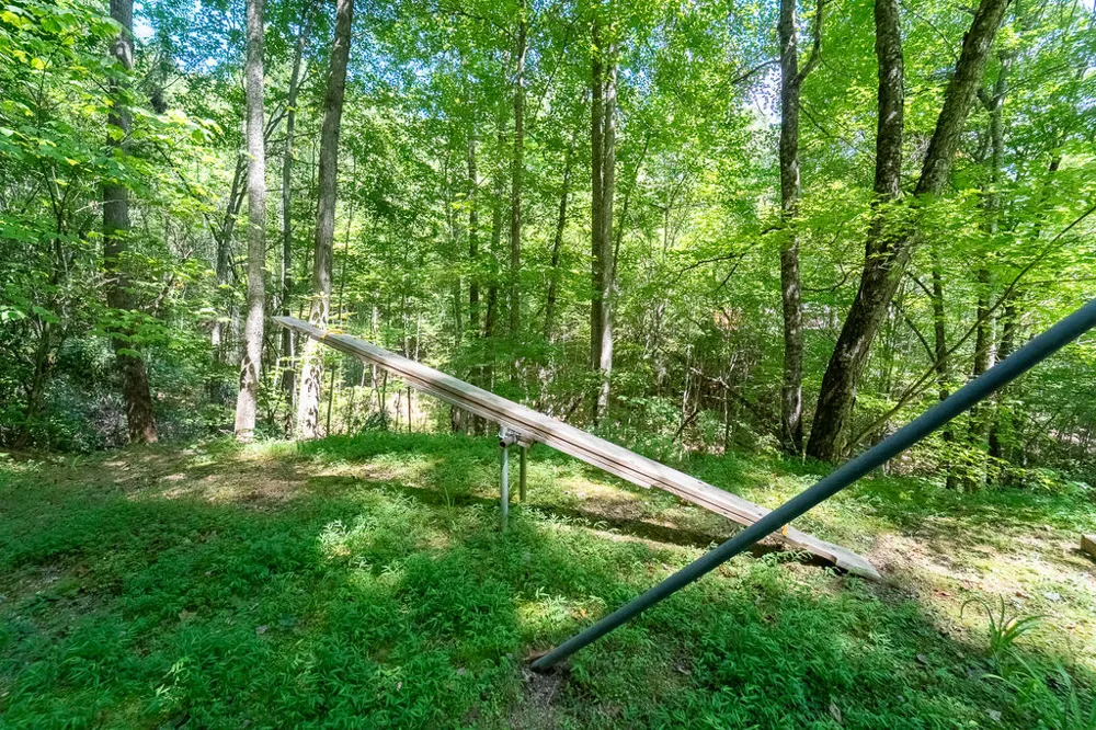 Iris Lane Whittier, NC 28789