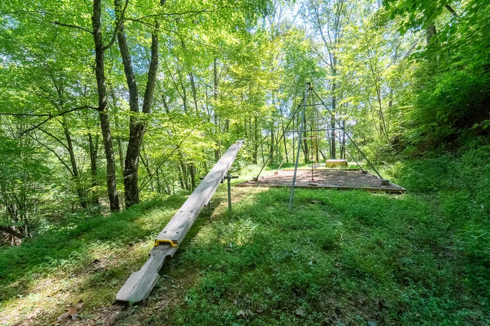Iris Lane Whittier, NC 28789