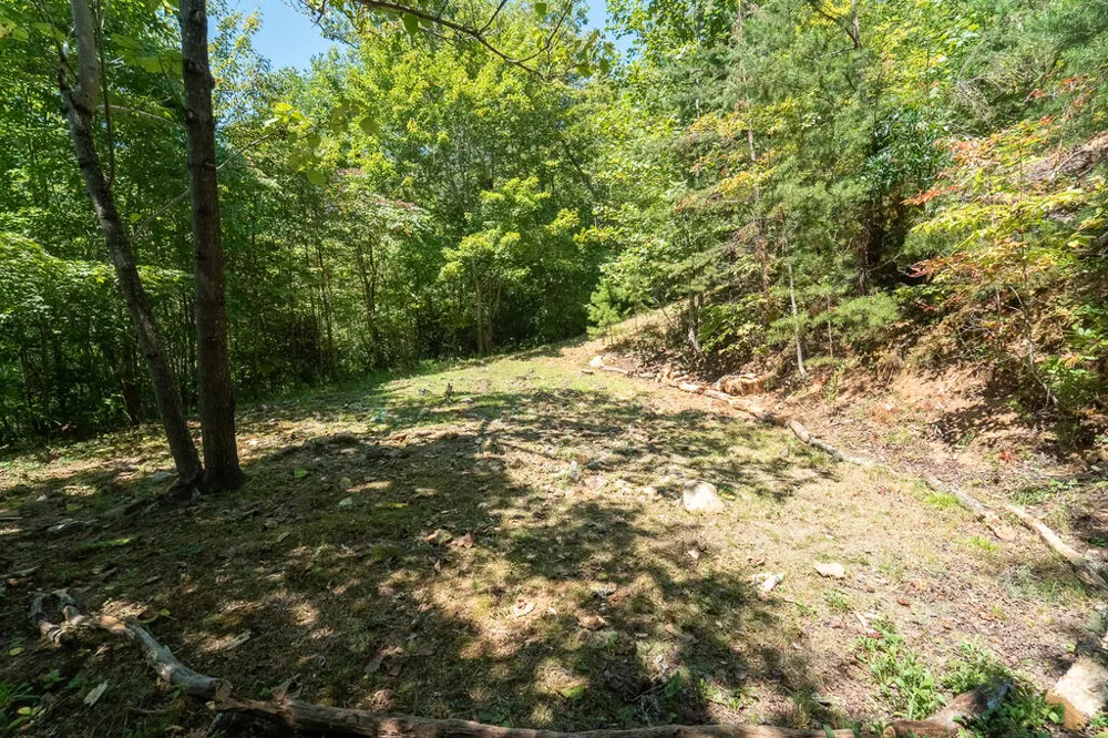 Iris Lane Whittier, NC 28789