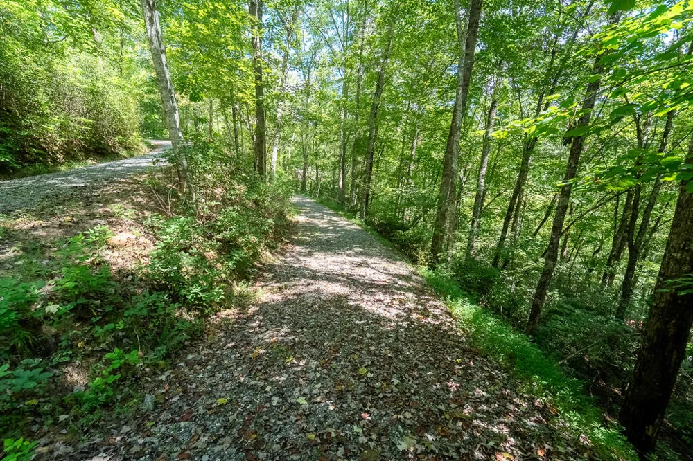 Iris Lane Whittier, NC 28789