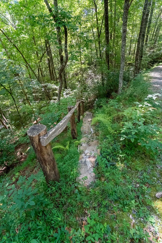 Iris Lane Whittier, NC 28789