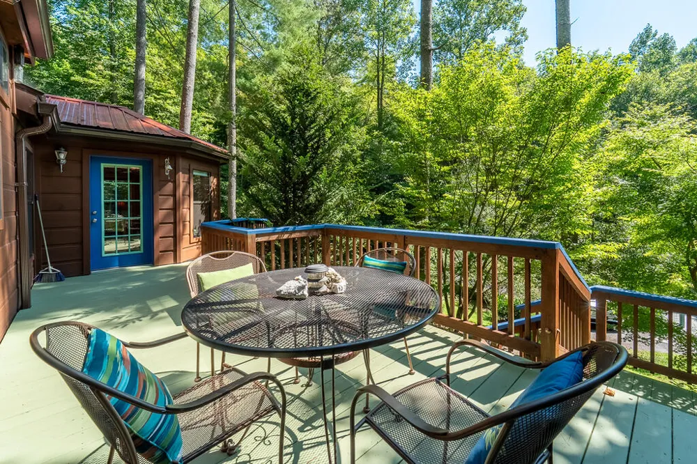 Iris Lane Whittier, NC 28789