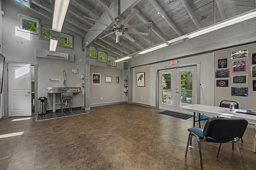 Iris Lane Whittier, NC 28789